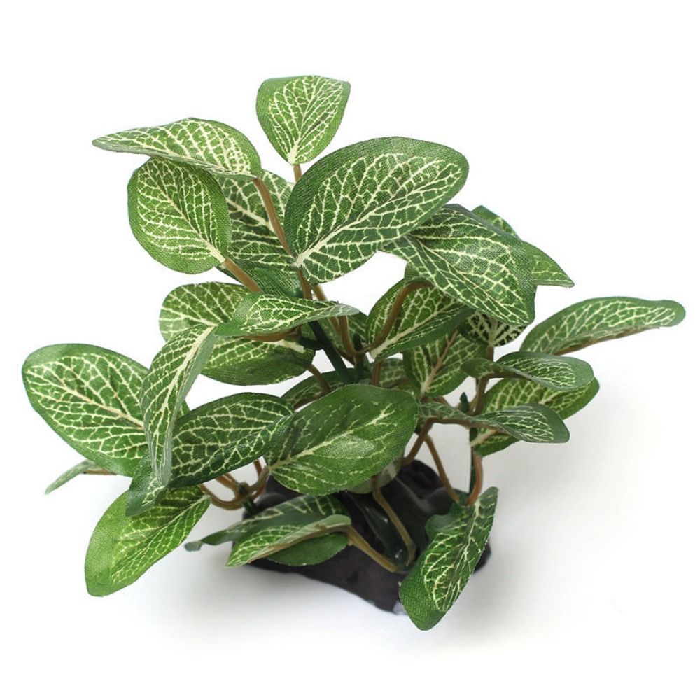 Plastic Lifelike Green for Fis - Planted Aquarium Jar บทวิจารณ์และราคา