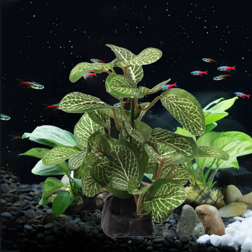 Decorative Silk Realistic Unde - Planted Aquarium Jar บทวิจารณ์และราคา