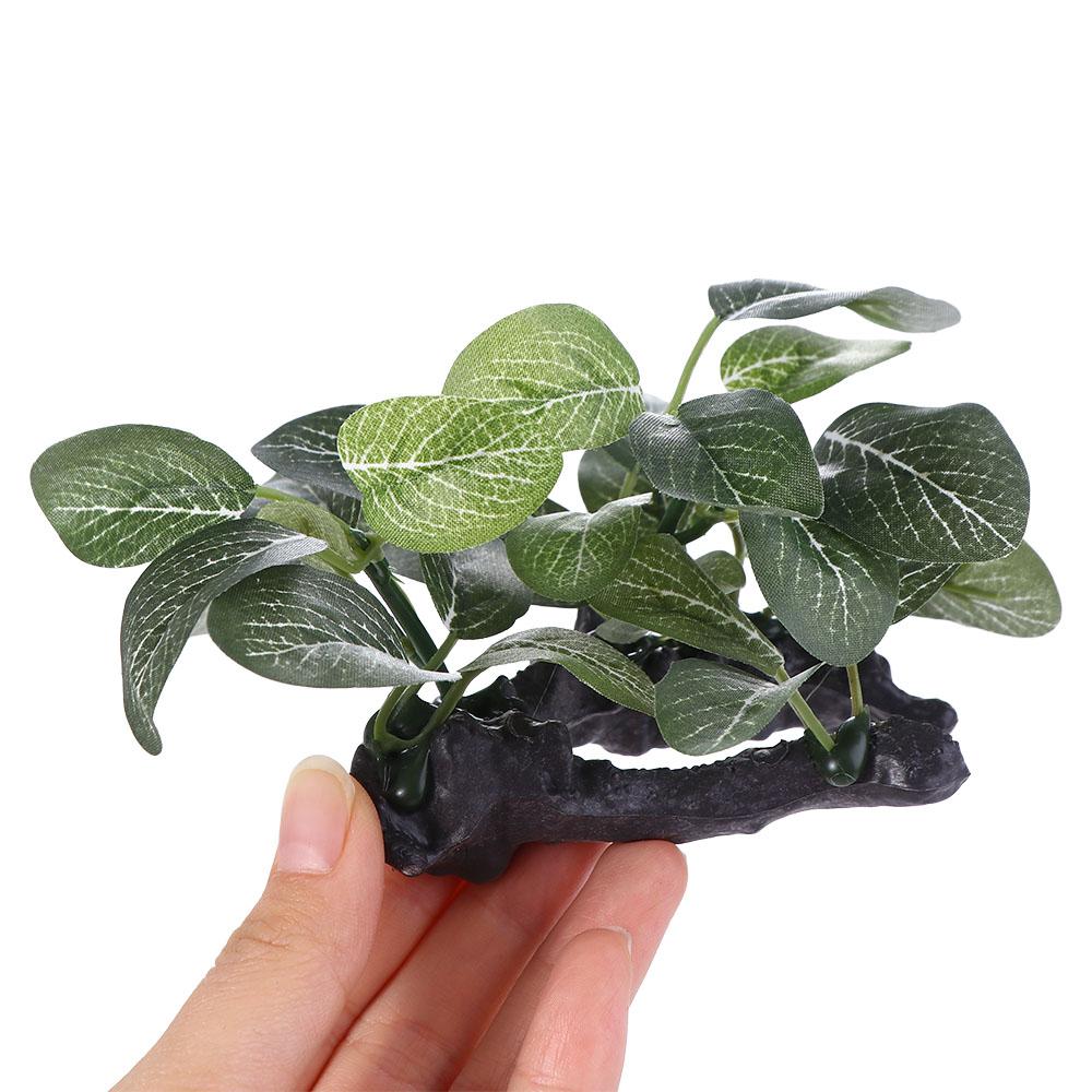 Decorative Silk Realistic Unde - Planted Aquarium Jar บทวิจารณ์และราคา