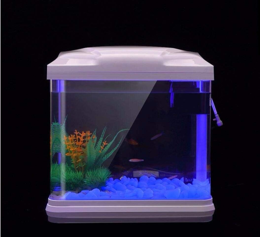 Fish Tank Rocks Glow Blue Pebb - Planted Aquarium Equipment บทวิจารณ์และราคา