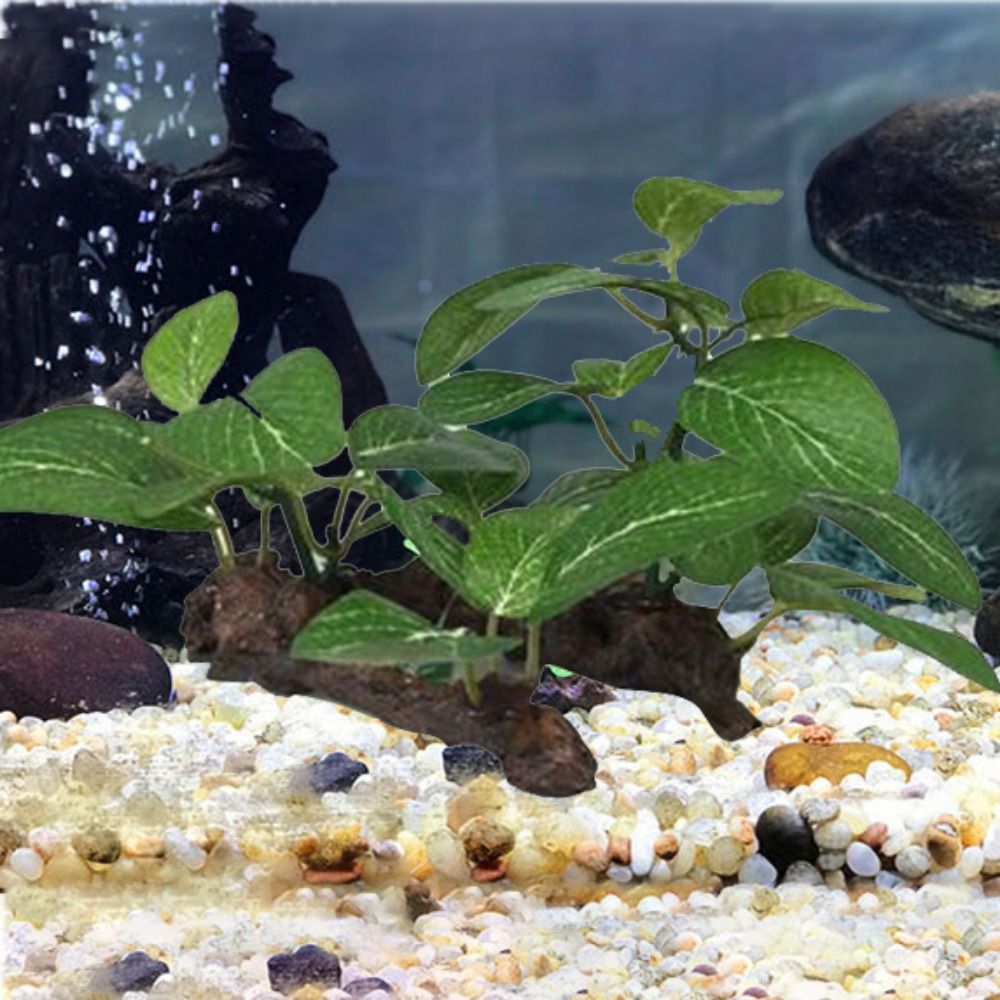 Silk Plastic Green for Fish Ta - Planted Aquarium Jar บทวิจารณ์และราคา