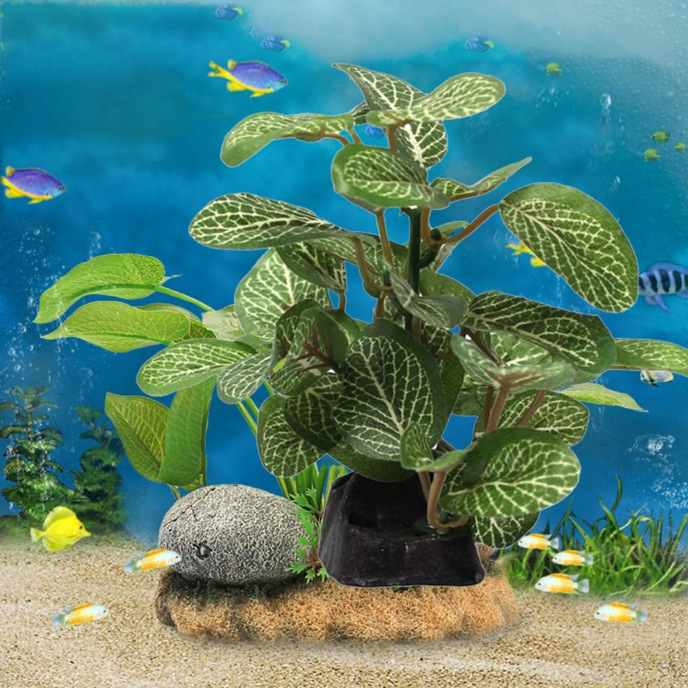 Silk Plastic Green for Fish Ta - Planted Aquarium Jar บทวิจารณ์และราคา