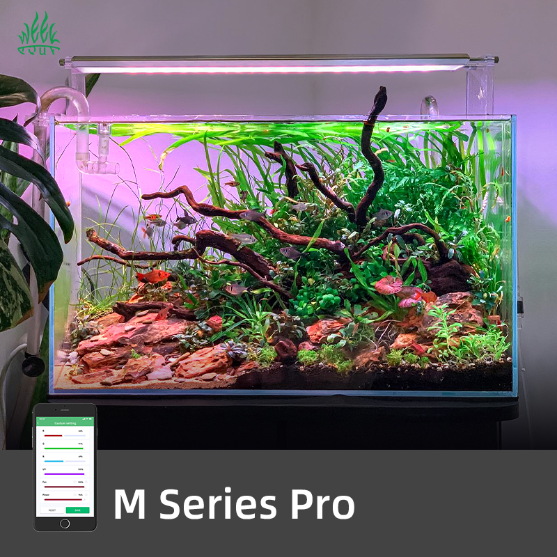ZXY Hot Sales WEEK AQUA M1200P - Aquarium Plants For Sale บทวิจารณ์และราคา