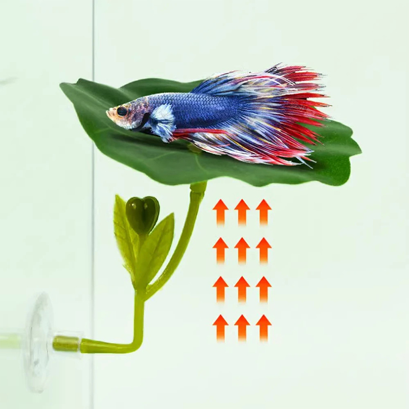 1Pc Green Leaf Betta Fish Hamm - Planted Aquarium Bowl บทวิจารณ์และราคา