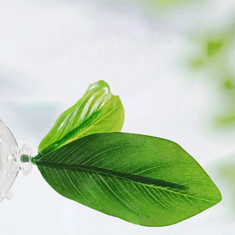 1Pc Green Leaf Betta Fish Hamm - Planted Aquarium Bowl บทวิจารณ์และราคา