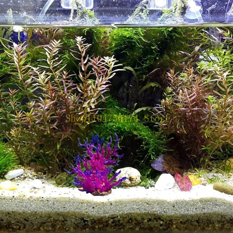 Artificial Water Plant Aquariu - Aquarium Plants For Sale บทวิจารณ์และราคา