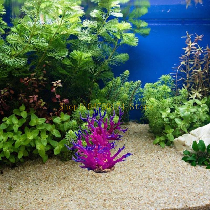 Artificial Water Plant Aquariu - Aquarium Plants For Sale บทวิจารณ์และราคา