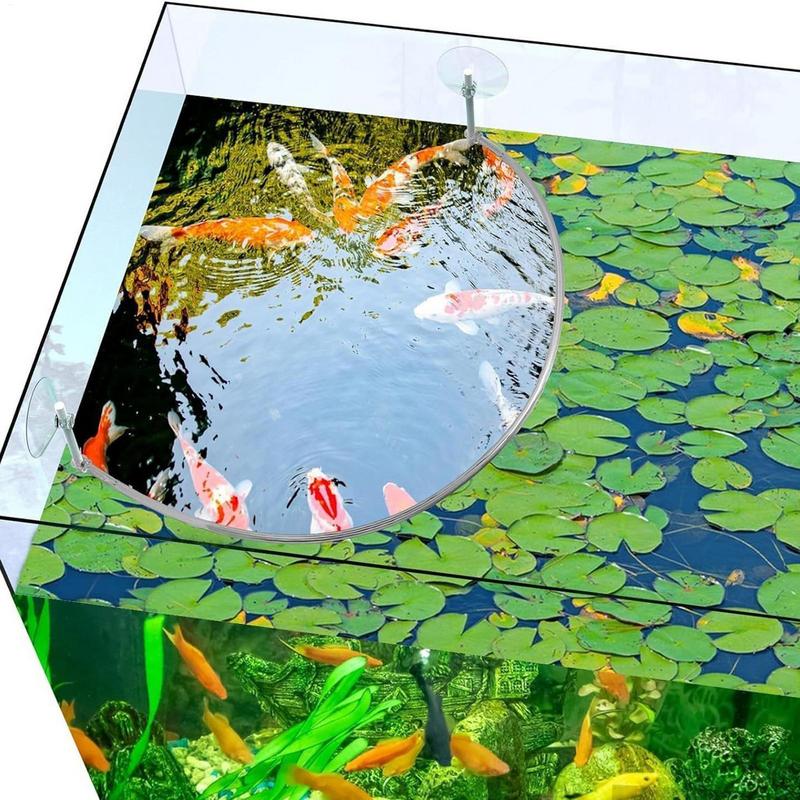 Floating Plant Corral Fish Fee - Planted Aquarium Equipment บทวิจารณ์และราคา