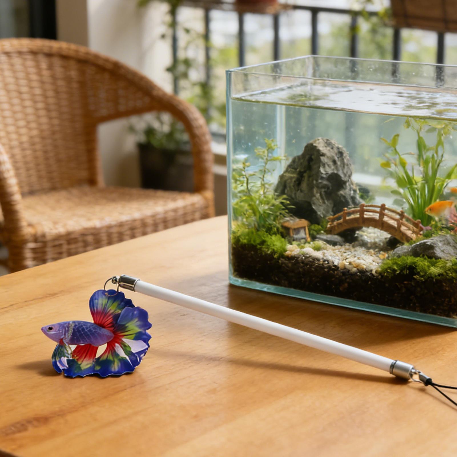 Fish Training Wand For Betta I - Planted Aquarium For Beginners บทวิจารณ์และราคา