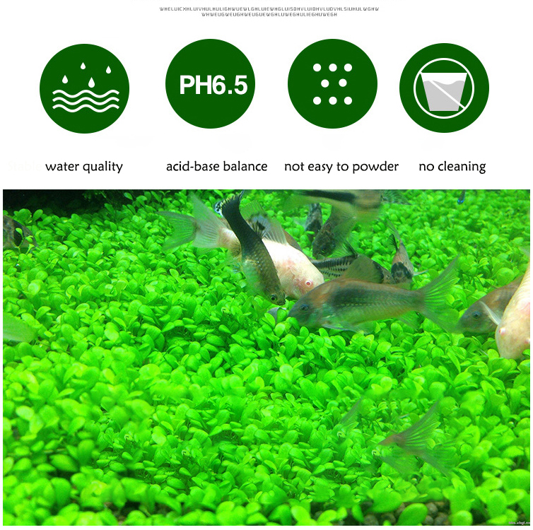 Aquarium Plant Seeds Soil Fish - Planted Aquarium Fertilizer บทวิจารณ์และราคา