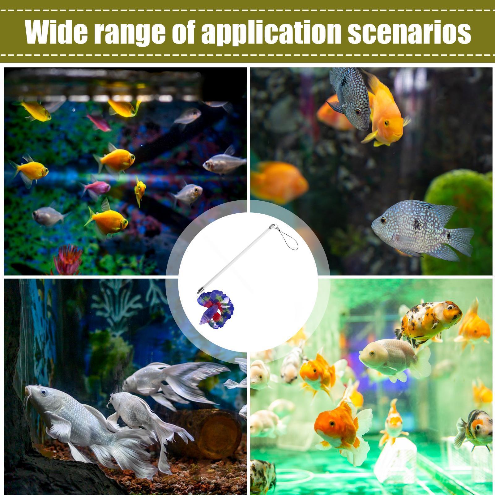 Fish Training Wand Realistic A - Planted Aquarium For Beginners บทวิจารณ์และราคา