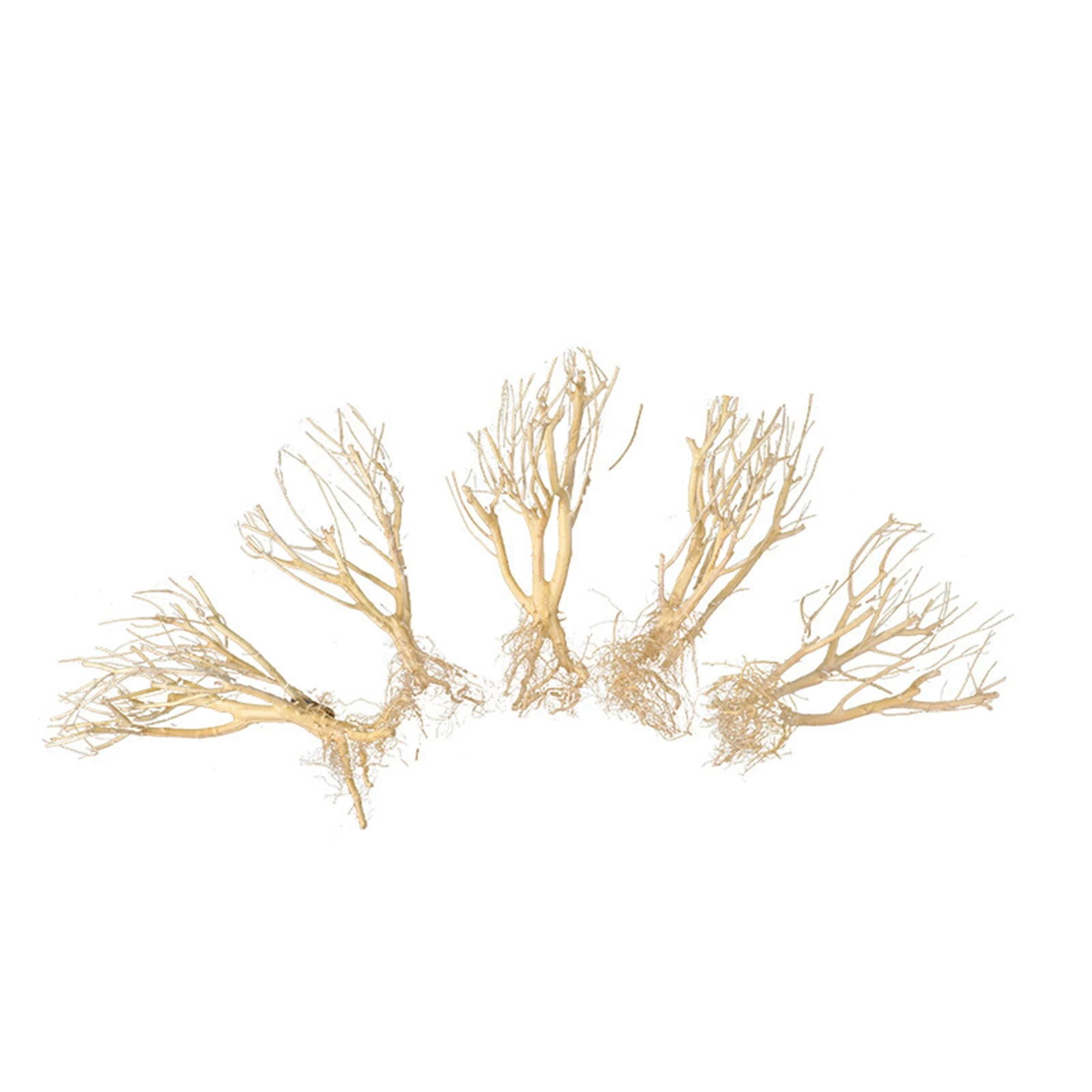 New DIY Driftwood Aquarium Mos - Aquarium Plant On Wood บทวิจารณ์และราคา