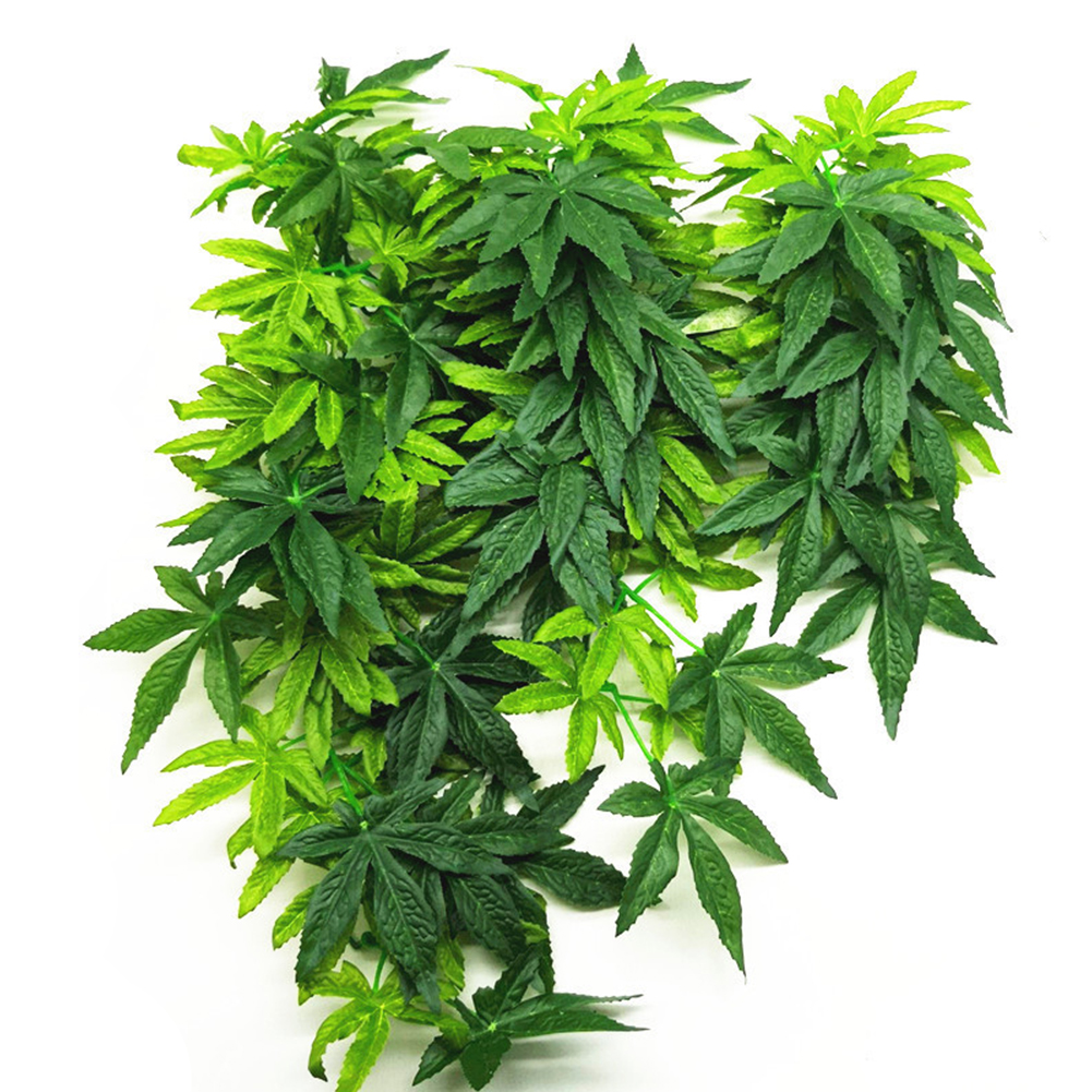 HOT SALE 30/40/50CM Aquarium R - Aquarium Plants For Sale บทวิจารณ์และราคา