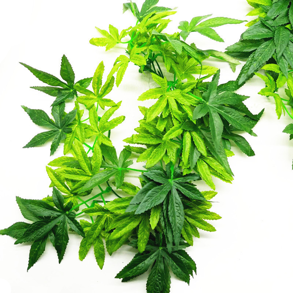 HOT SALE 30/40/50CM Aquarium R - Aquarium Plants For Sale บทวิจารณ์และราคา