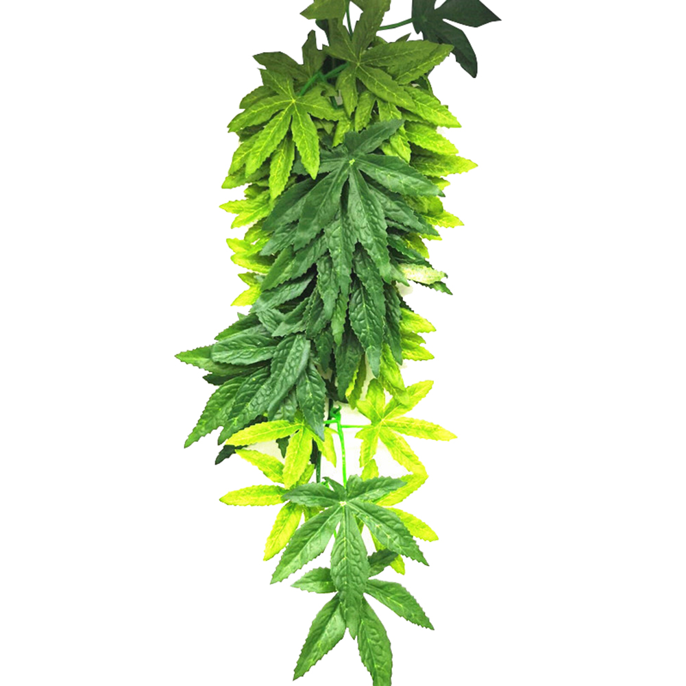 HOT SALE 30/40/50CM Aquarium R - Aquarium Plants For Sale บทวิจารณ์และราคา