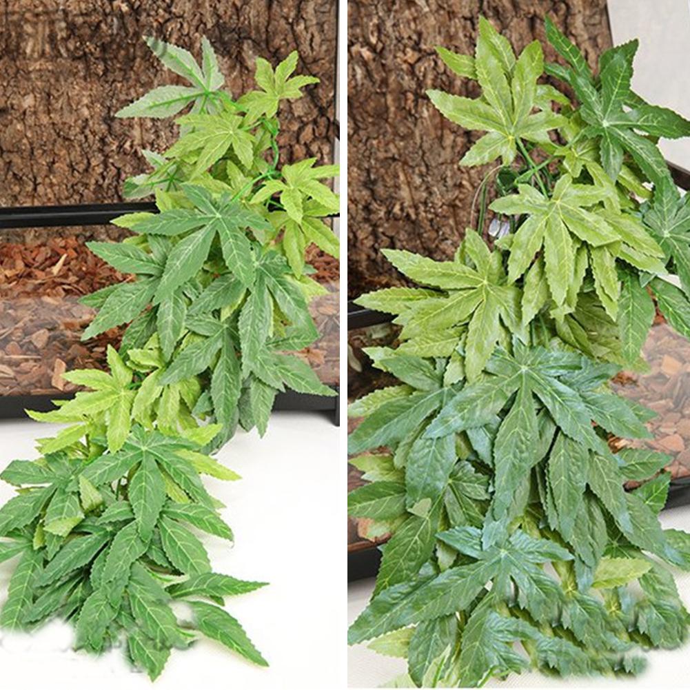 HOT SALE 30/40/50CM Aquarium R - Aquarium Plants For Sale บทวิจารณ์และราคา