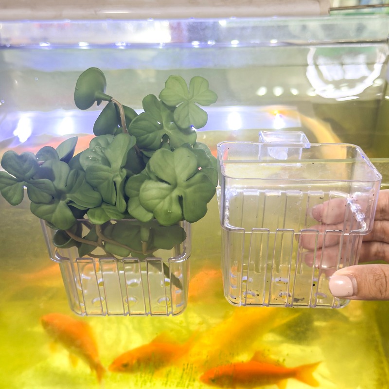 1/5pcs Aquarium Decoration Pla - Planted Aquarium Equipment บทวิจารณ์และราคา