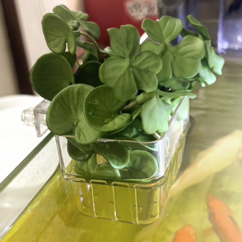 1/5pcs Aquarium Decoration Pla - Planted Aquarium Equipment บทวิจารณ์และราคา