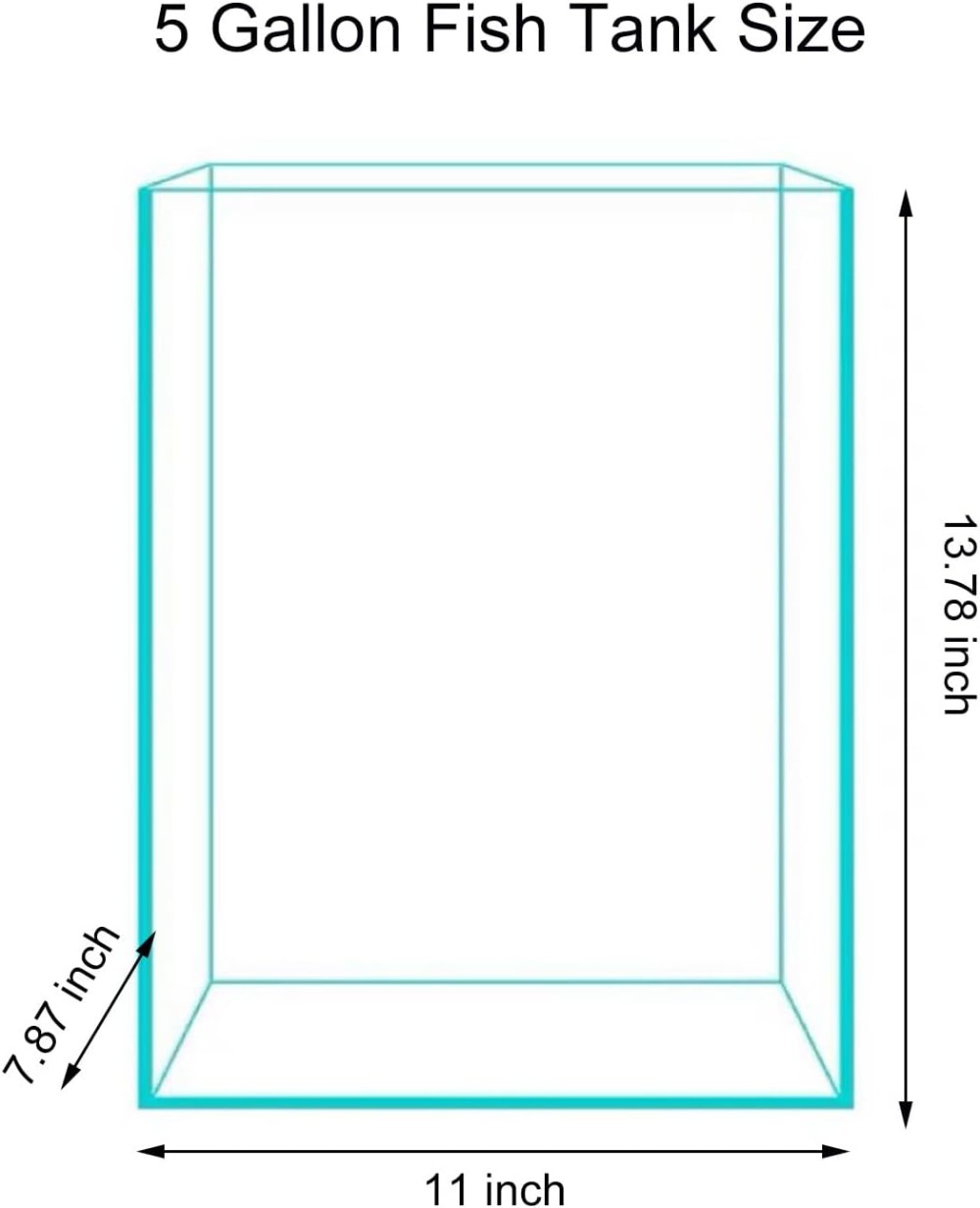 5 Gallon Glass Fish Tank, Easy - Planted Aquarium Care บทวิจารณ์และราคา