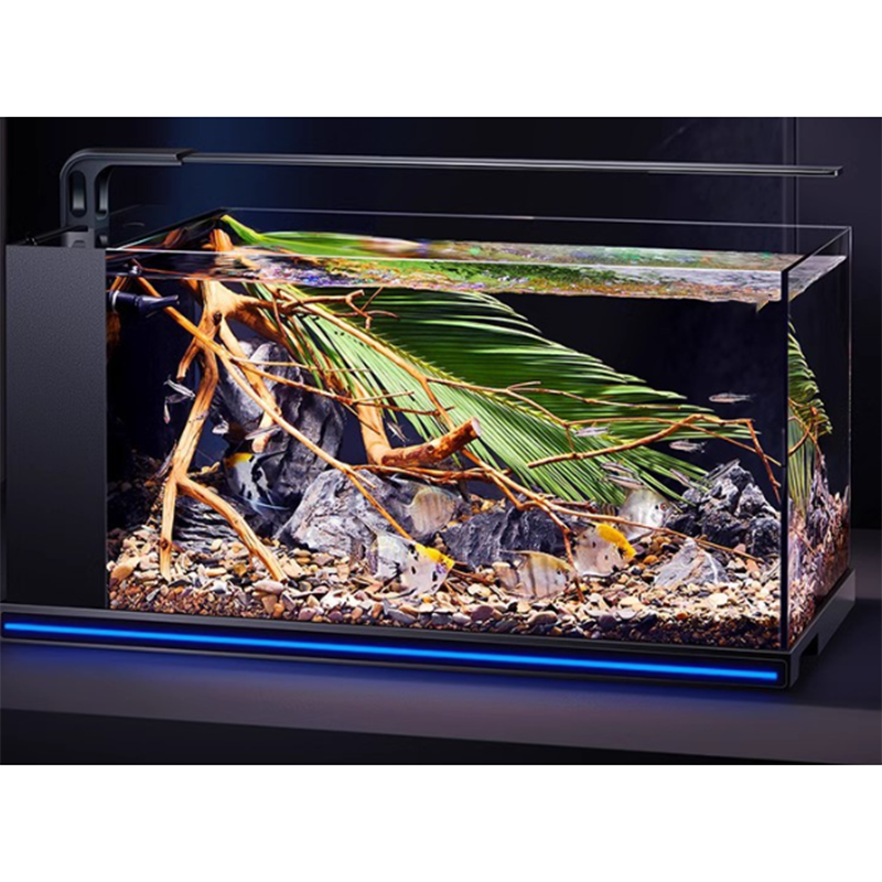 New Product Wholesale Fish and - Planted Aquarium Bowl บทวิจารณ์และราคา