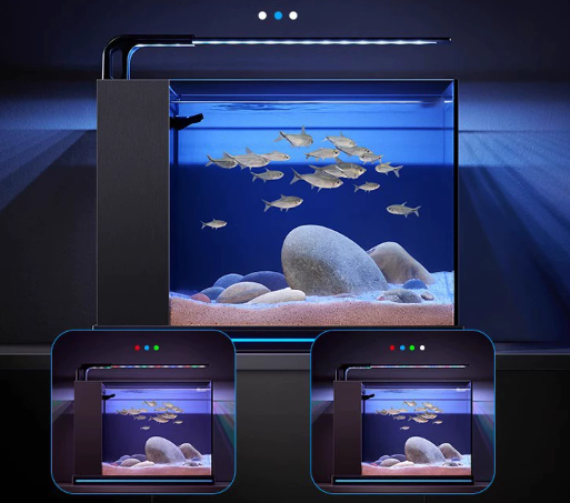 New Product Wholesale Fish and - Planted Aquarium Bowl บทวิจารณ์และราคา