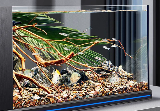 New Product Wholesale Fish and - Planted Aquarium Bowl บทวิจารณ์และราคา