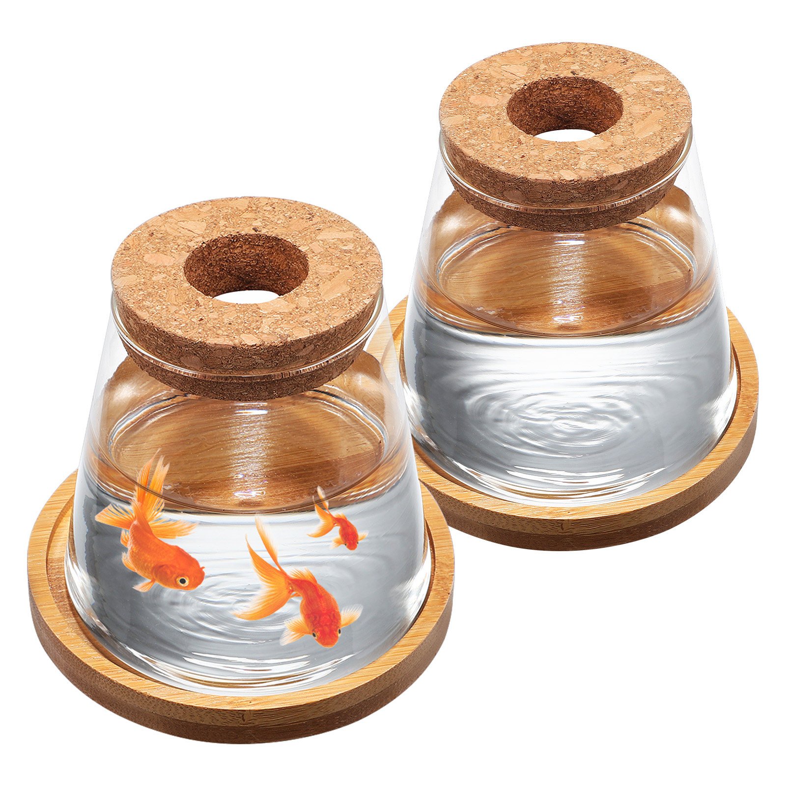2Pcs Water Planters Glass Prop - Planted Aquarium Jar บทวิจารณ์และราคา