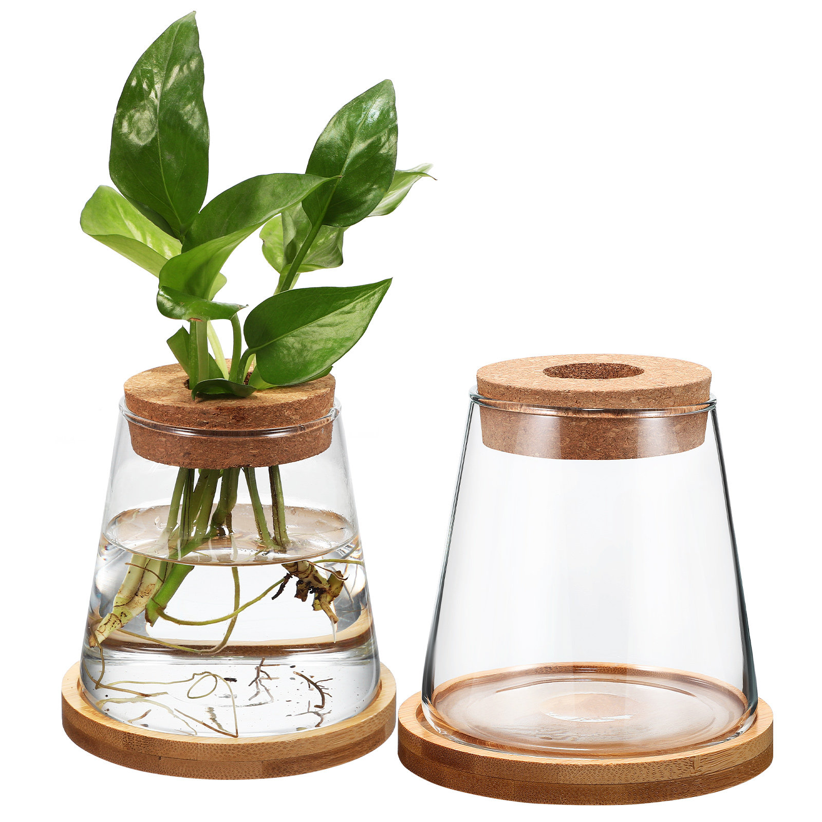 2Pcs Water Planters Glass Prop - Planted Aquarium Jar บทวิจารณ์และราคา