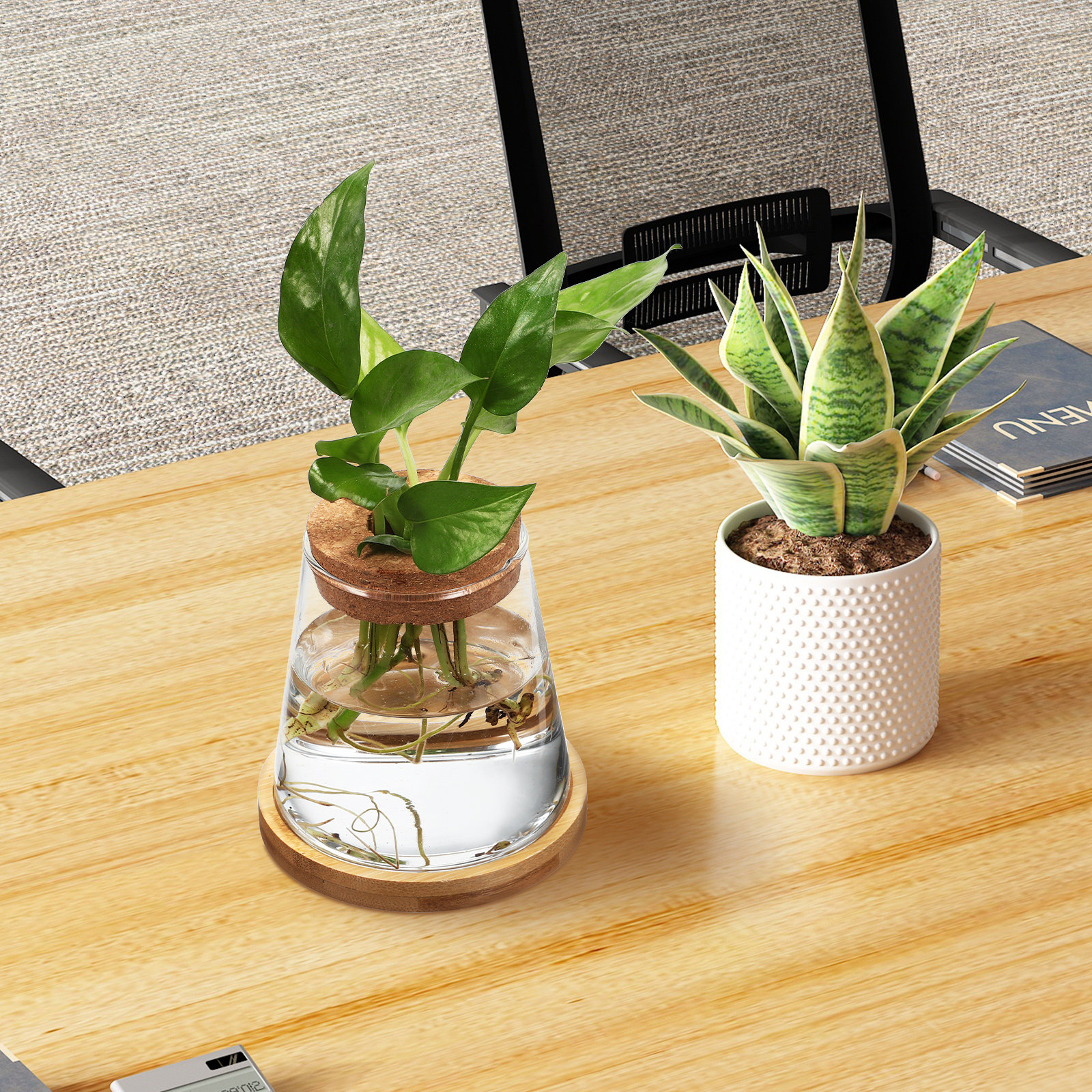 2Pcs Water Planters Glass Prop - Planted Aquarium Jar บทวิจารณ์และราคา