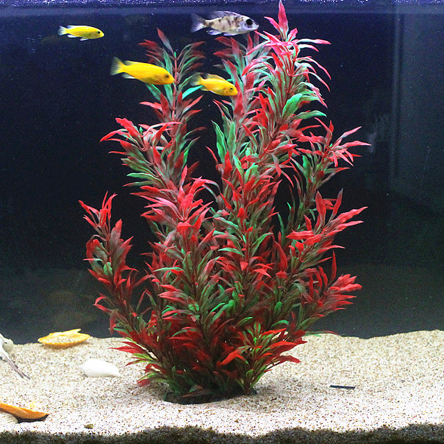 50CM Artificial Fish Tank Rare - Planted Aquarium Equipment บทวิจารณ์และราคา