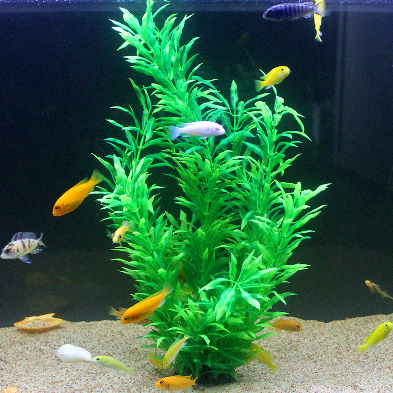 50CM Artificial Fish Tank Rare - Planted Aquarium Equipment บทวิจารณ์และราคา