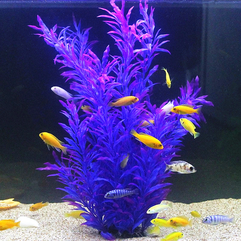 50CM Artificial Fish Tank Rare - Planted Aquarium Equipment บทวิจารณ์และราคา