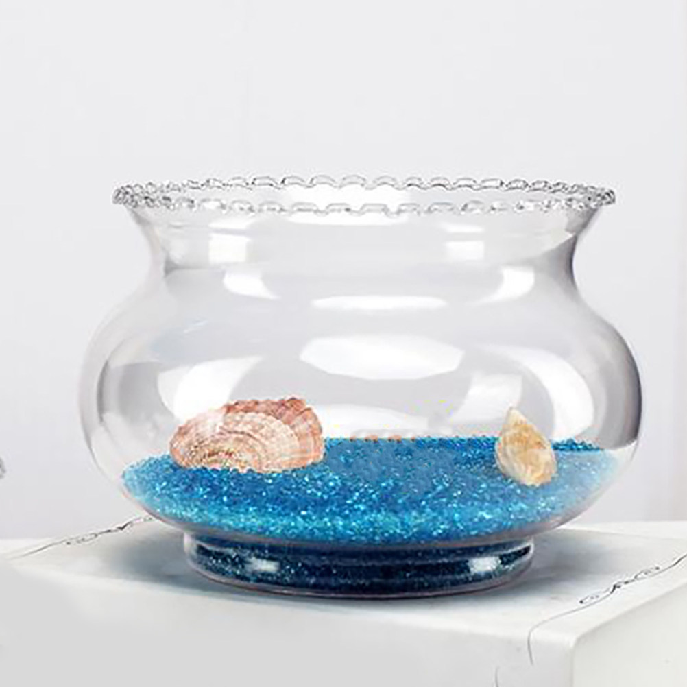 Premium Transparent Glass Bett - Planted Aquarium Bowl บทวิจารณ์และราคา