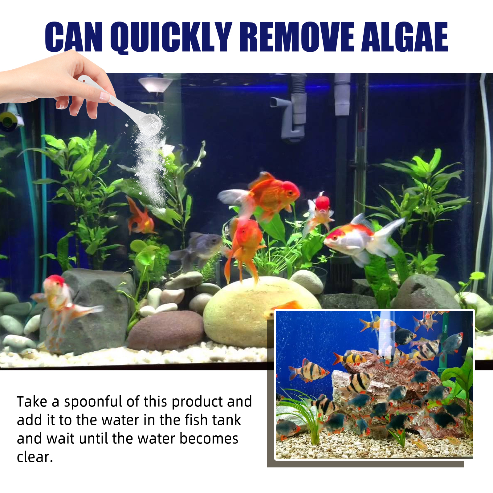 Algae Removal Quickly Removing - Planted Aquarium Fertilizer บทวิจารณ์และราคา