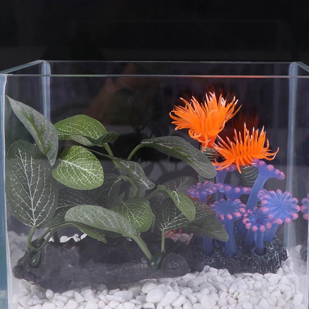 Plastic Lifelike Green for Fis - Planted Aquarium Jar บทวิจารณ์และราคา