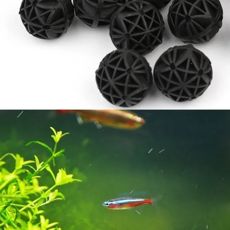 20Pcs 16mm Aquarium Filter Bio - Planted Aquarium Fertilizer บทวิจารณ์และราคา