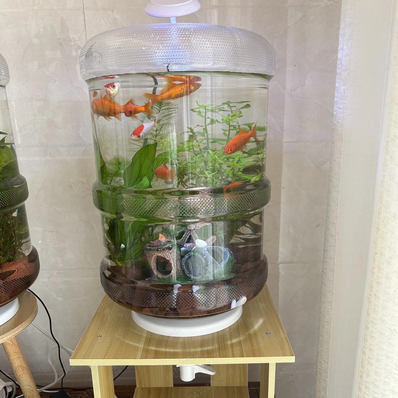 Instant Setup Home Fish Tank 3 - Aquarium Planted Tank Setup บทวิจารณ์และราคา