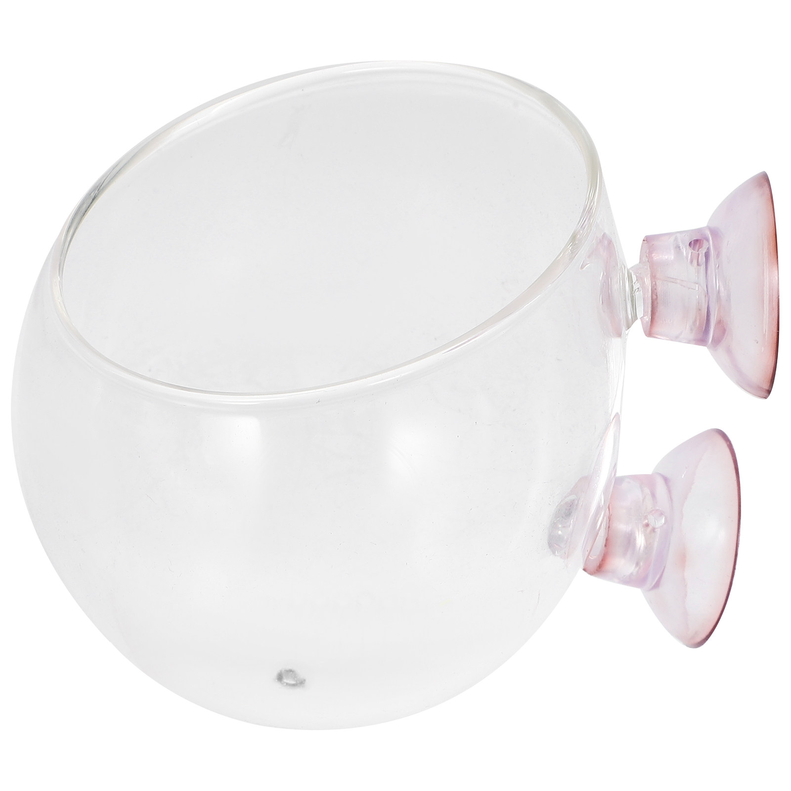 Aquarium Plant Bowl Suction Cu - Planted Aquarium Bowl บทวิจารณ์และราคา