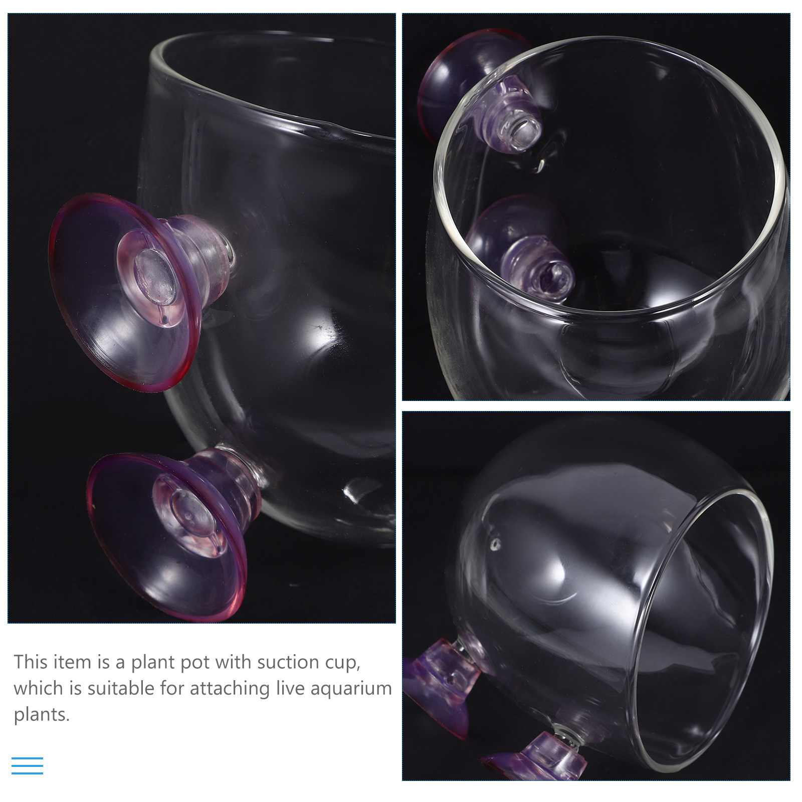 Aquarium Plant Bowl Suction Cu - Planted Aquarium Bowl บทวิจารณ์และราคา