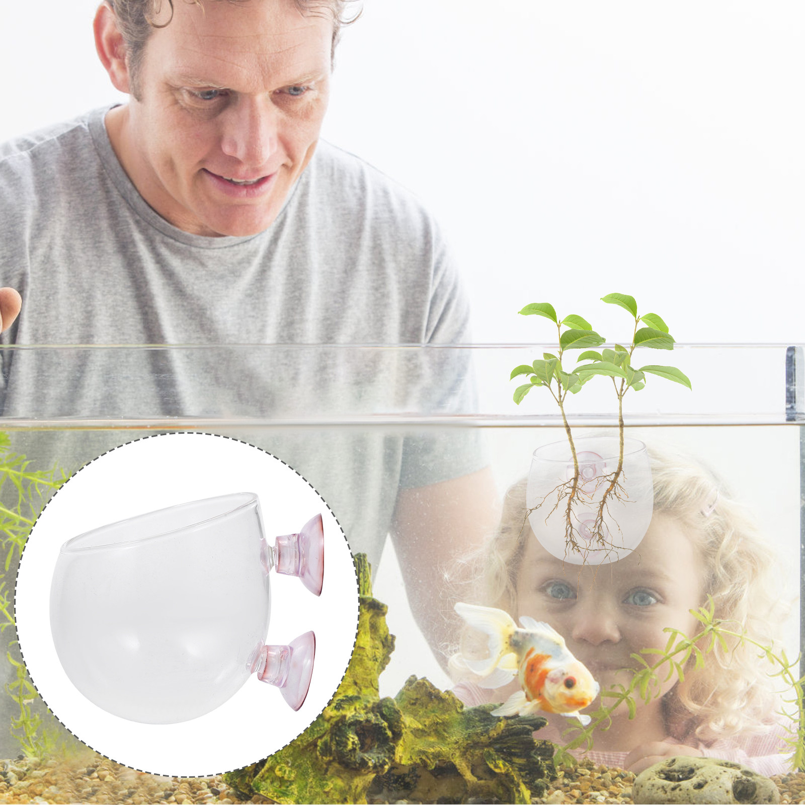 Aquarium Plant Bowl Suction Cu - Planted Aquarium Bowl บทวิจารณ์และราคา