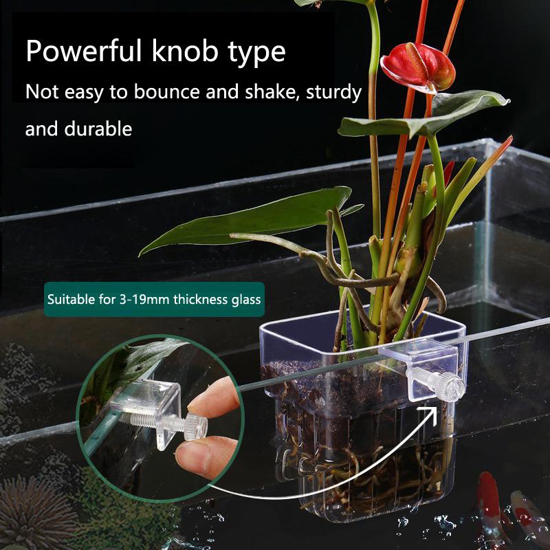 Aquarium Hydroponic Planting C - Aquarium Planted Tank Setup บทวิจารณ์และราคา