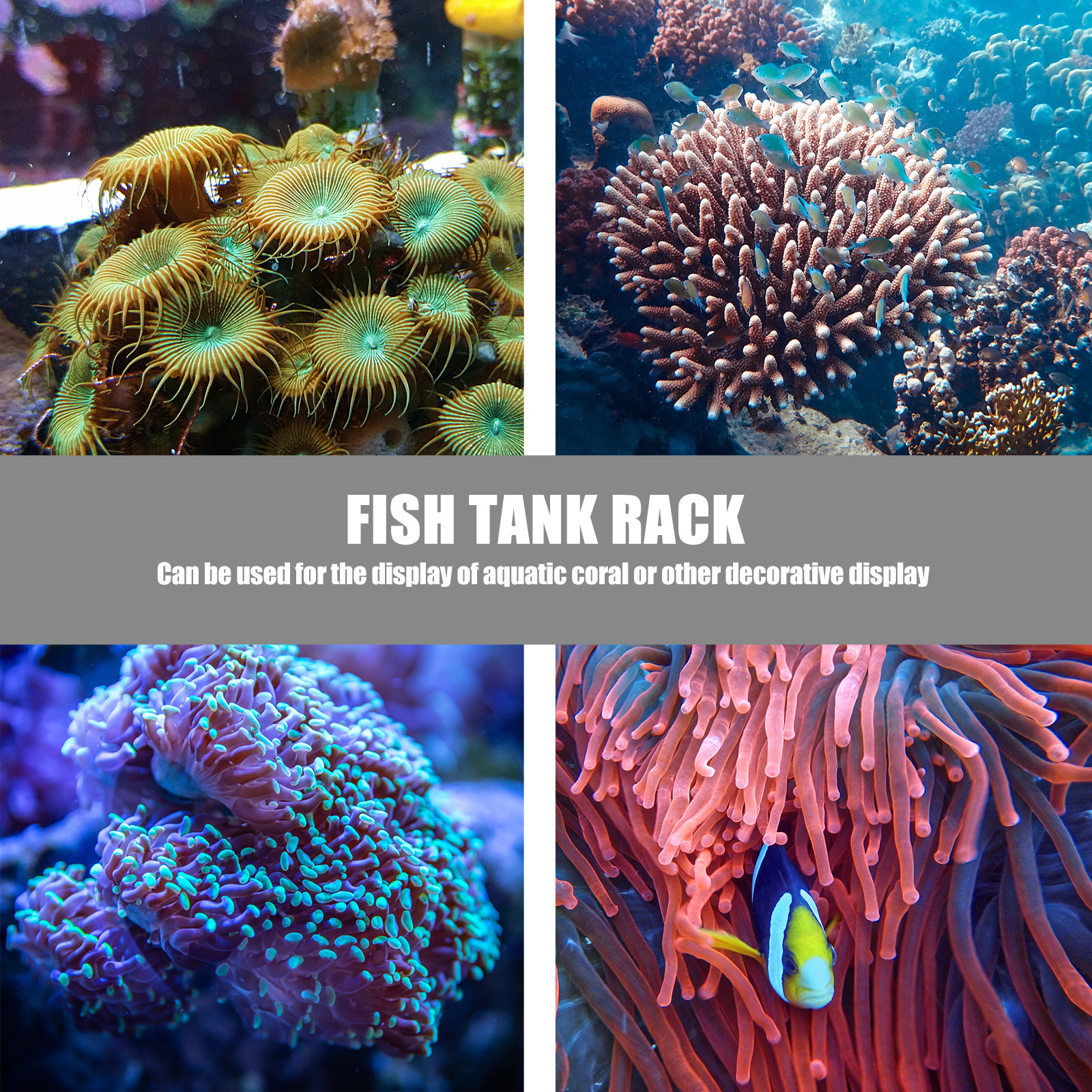 1Pcs Coral Base Stylish Strong - Aquarium Planted Tank Setup บทวิจารณ์และราคา