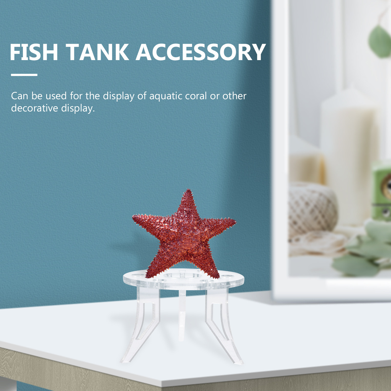 1Pcs Coral Base Stylish Strong - Aquarium Planted Tank Setup บทวิจารณ์และราคา