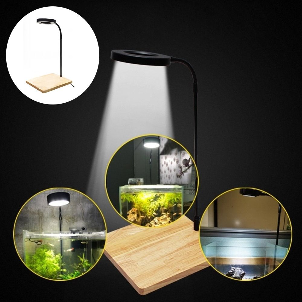 10W Fish Tank LED Lamp with Wo - Aquarium Plant On Wood บทวิจารณ์และราคา