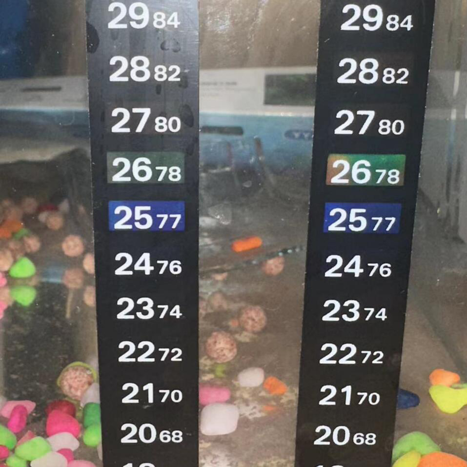 3Pcs/Set Aquarium Thermometer  - Planted Aquarium Water Temperature บทวิจารณ์และราคา