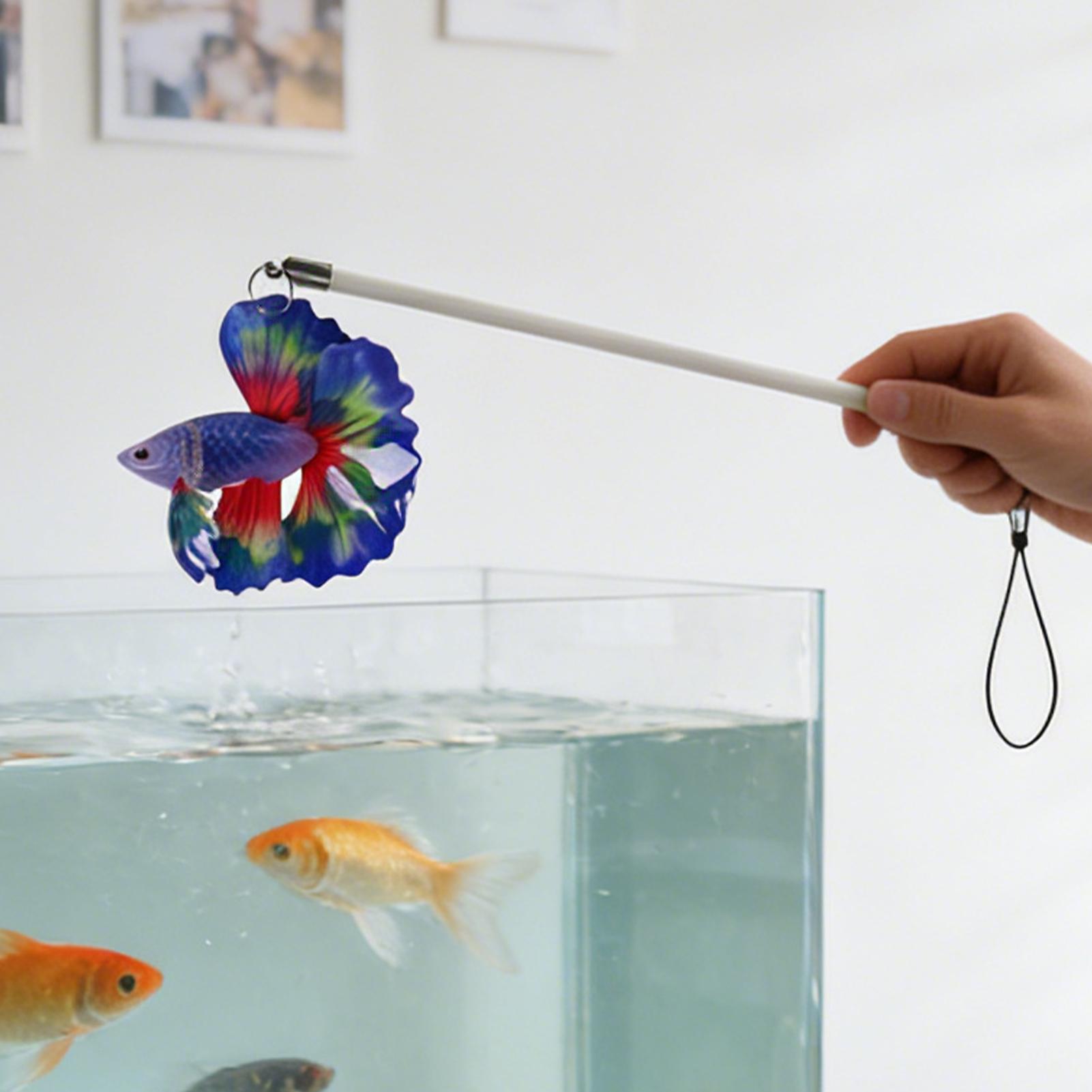 Fish Training Stick Realistic  - Planted Aquarium For Beginners บทวิจารณ์และราคา