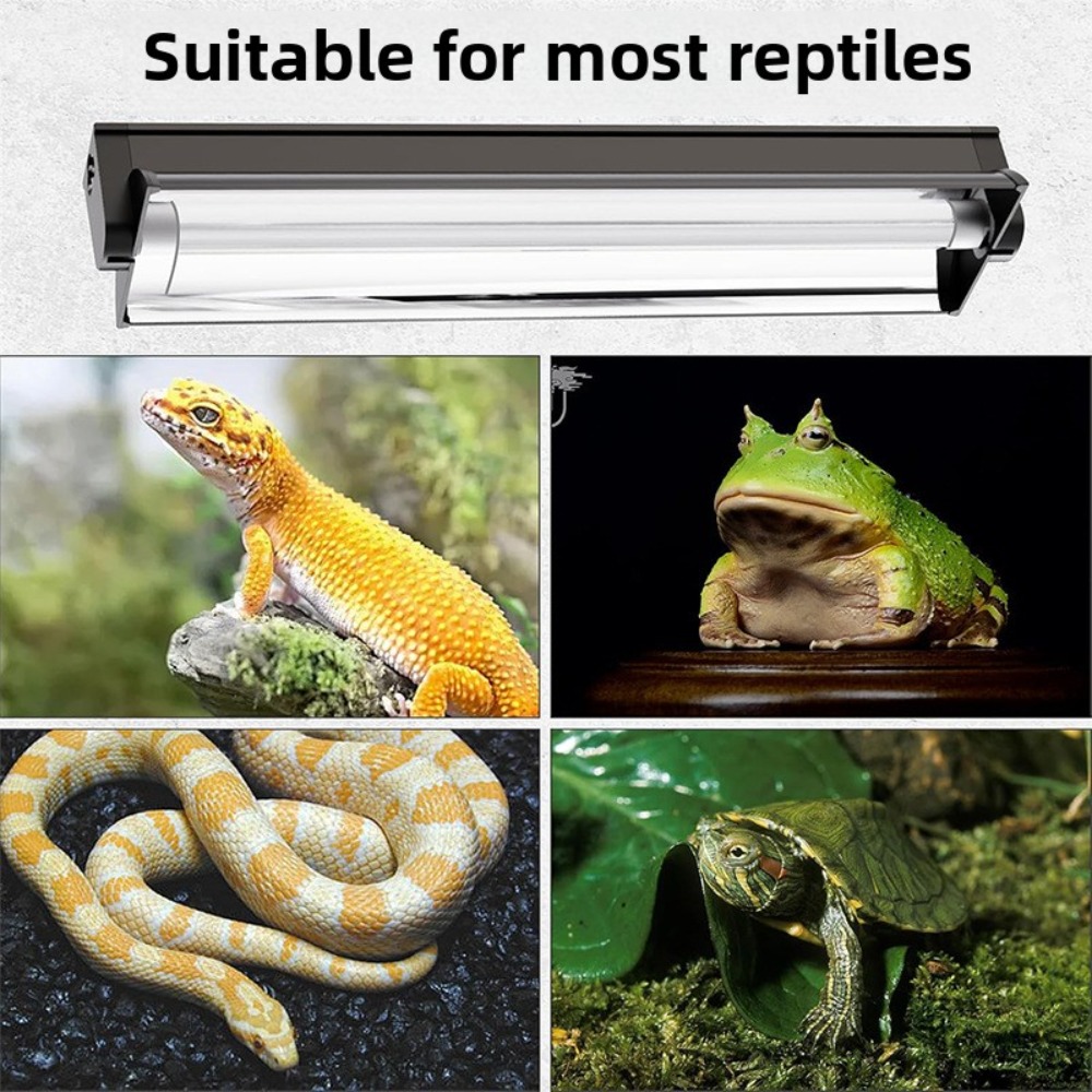 Planted and Reptile Terrarium  - Led Planted Tank Light บทวิจารณ์และราคา