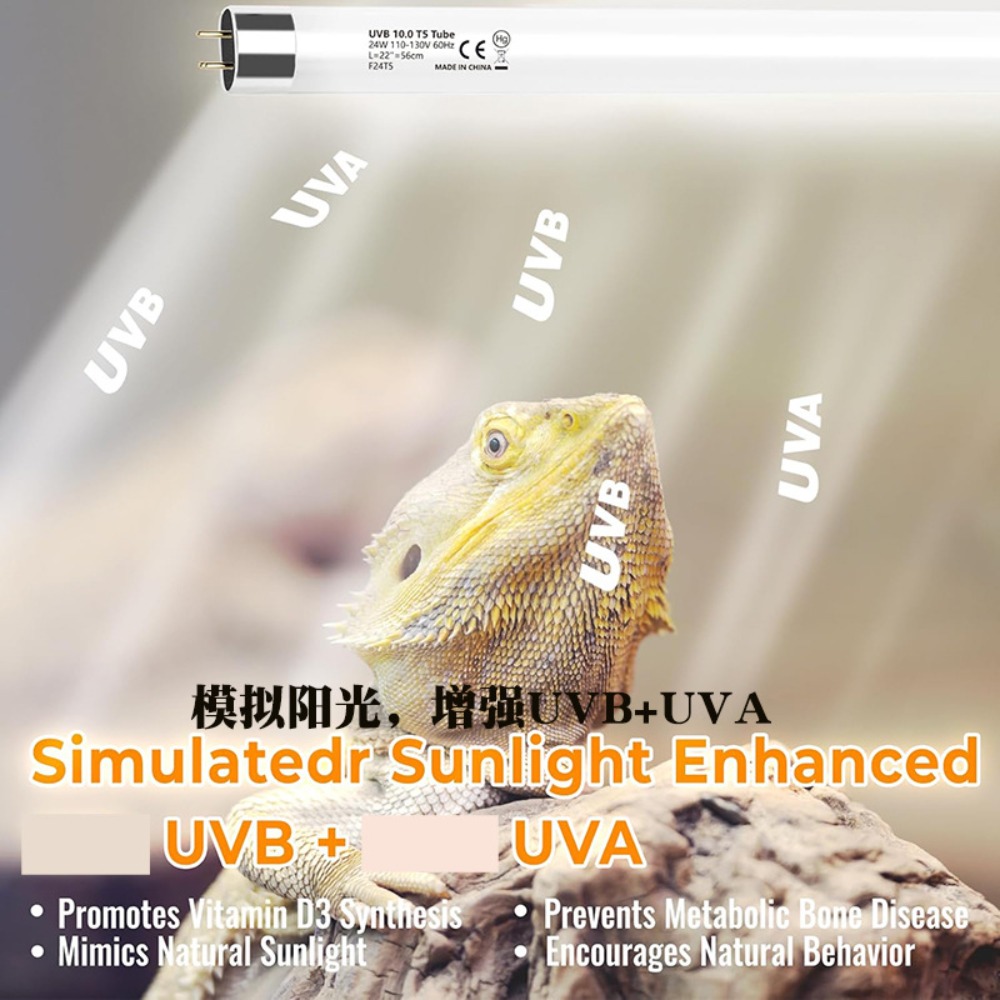 Planted and Reptile Terrarium  - Led Planted Tank Light บทวิจารณ์และราคา