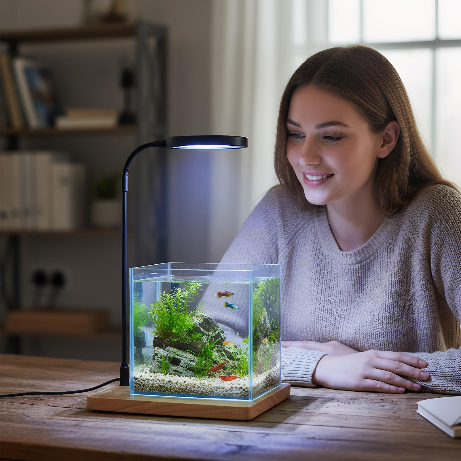Plant Lights For Indoor Growin - Aquarium Plant On Wood บทวิจารณ์และราคา