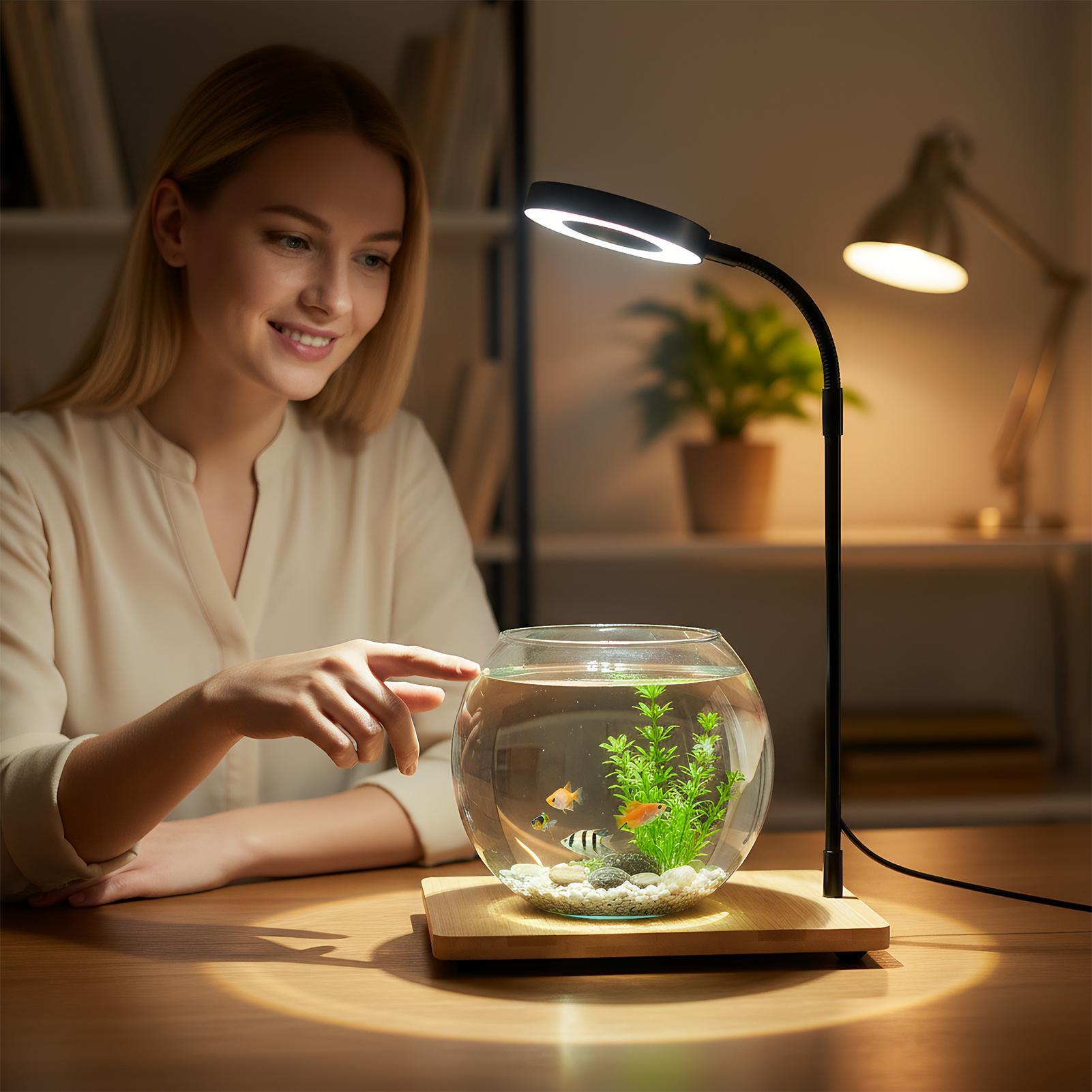 Plant Lights For Indoor Growin - Aquarium Plant On Wood บทวิจารณ์และราคา